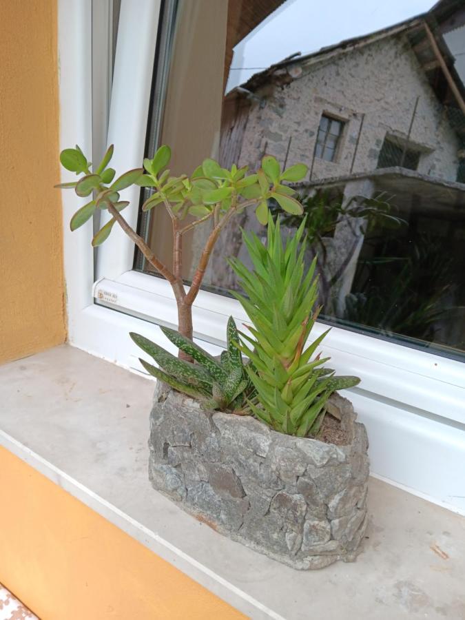 Apartma Metija Kobarid Exteriör bild